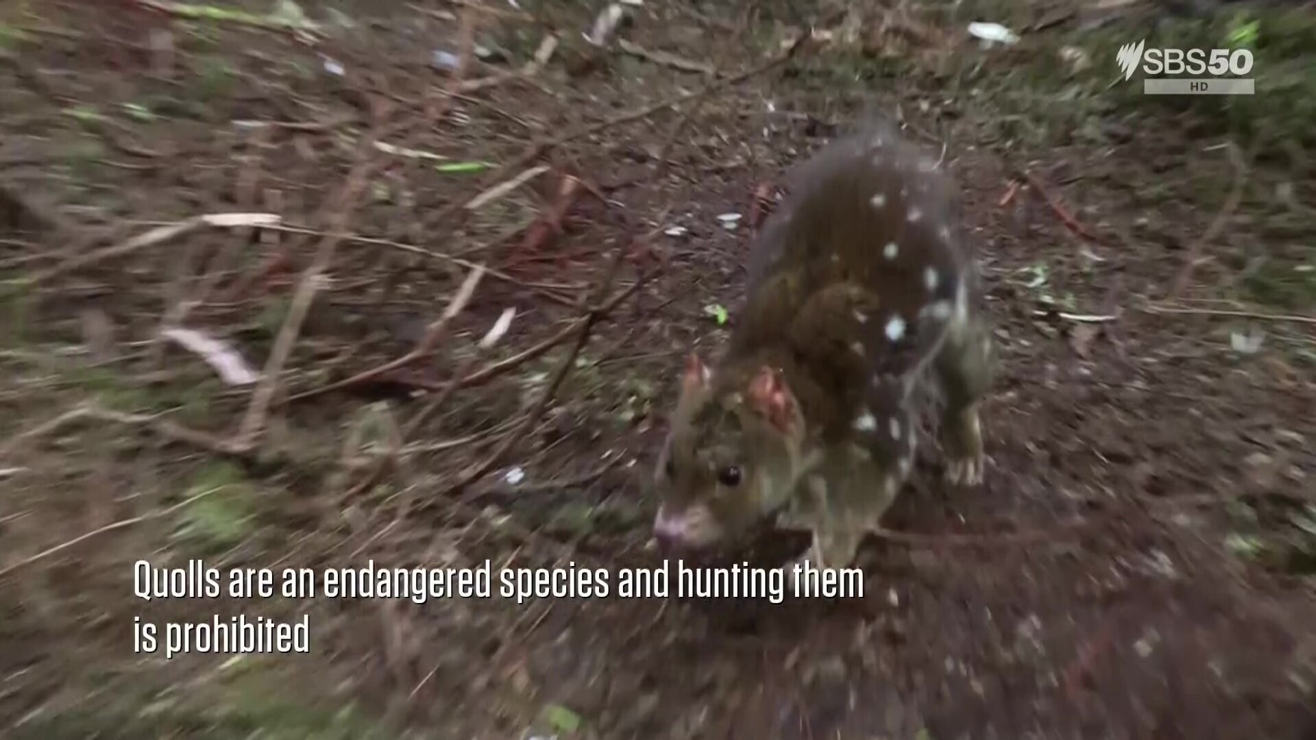 Alone Australia S3E7 Episode 7