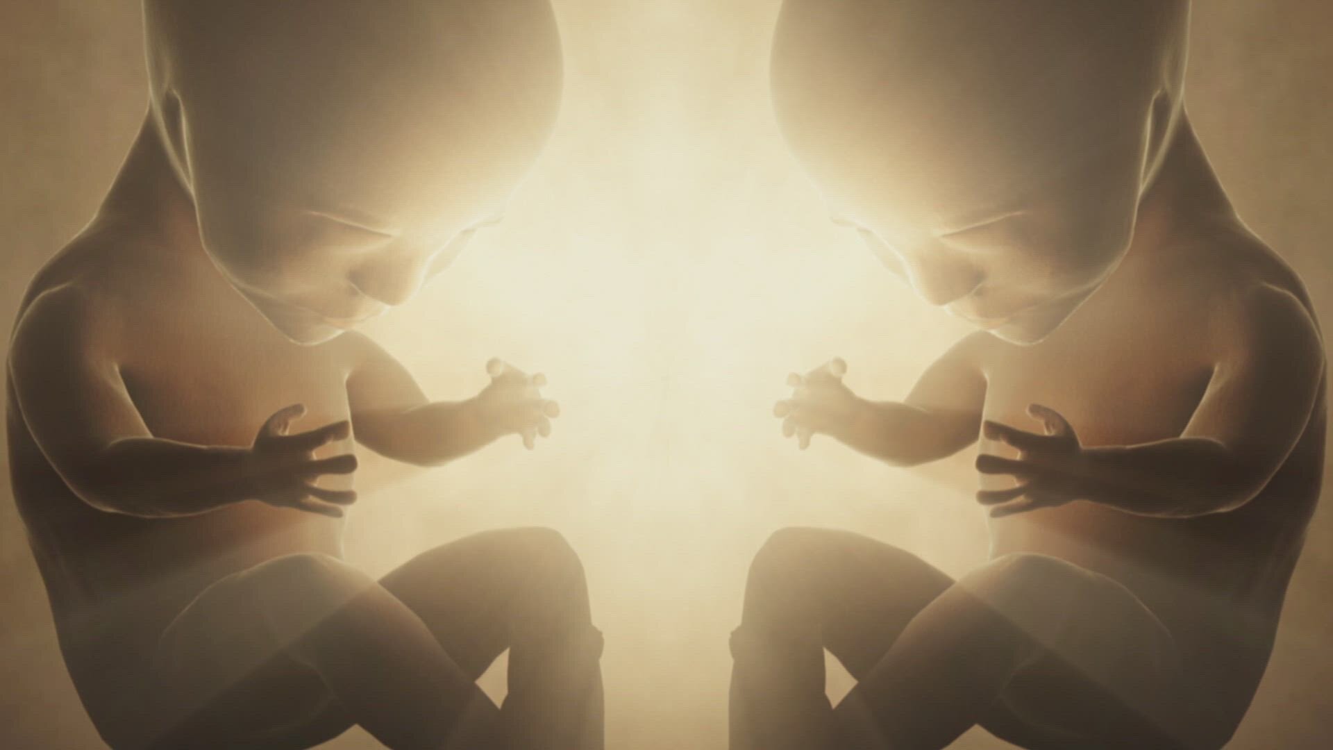 Ancient Aliens: Origins S1E4 Human Genesis