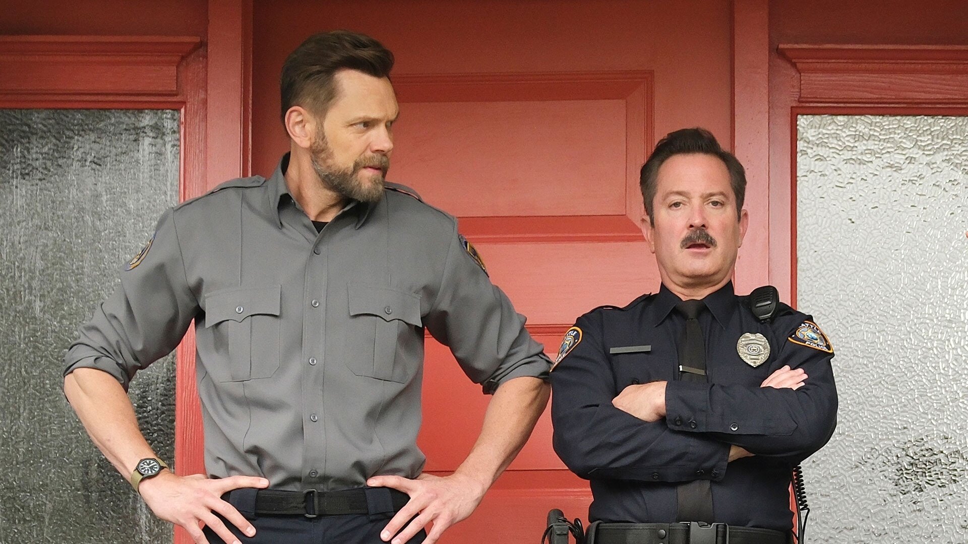 Animal Control S3E10 Strays and Lovebirds