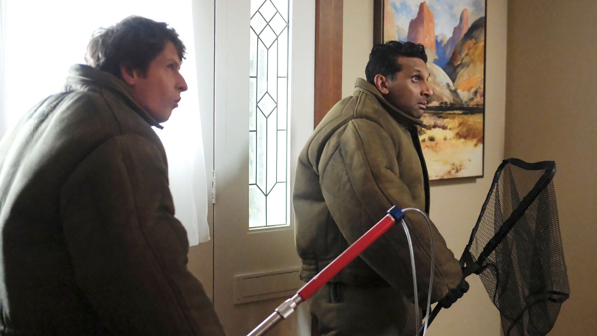 Animal Control S3E4 Baby Kangaroos and Chickens