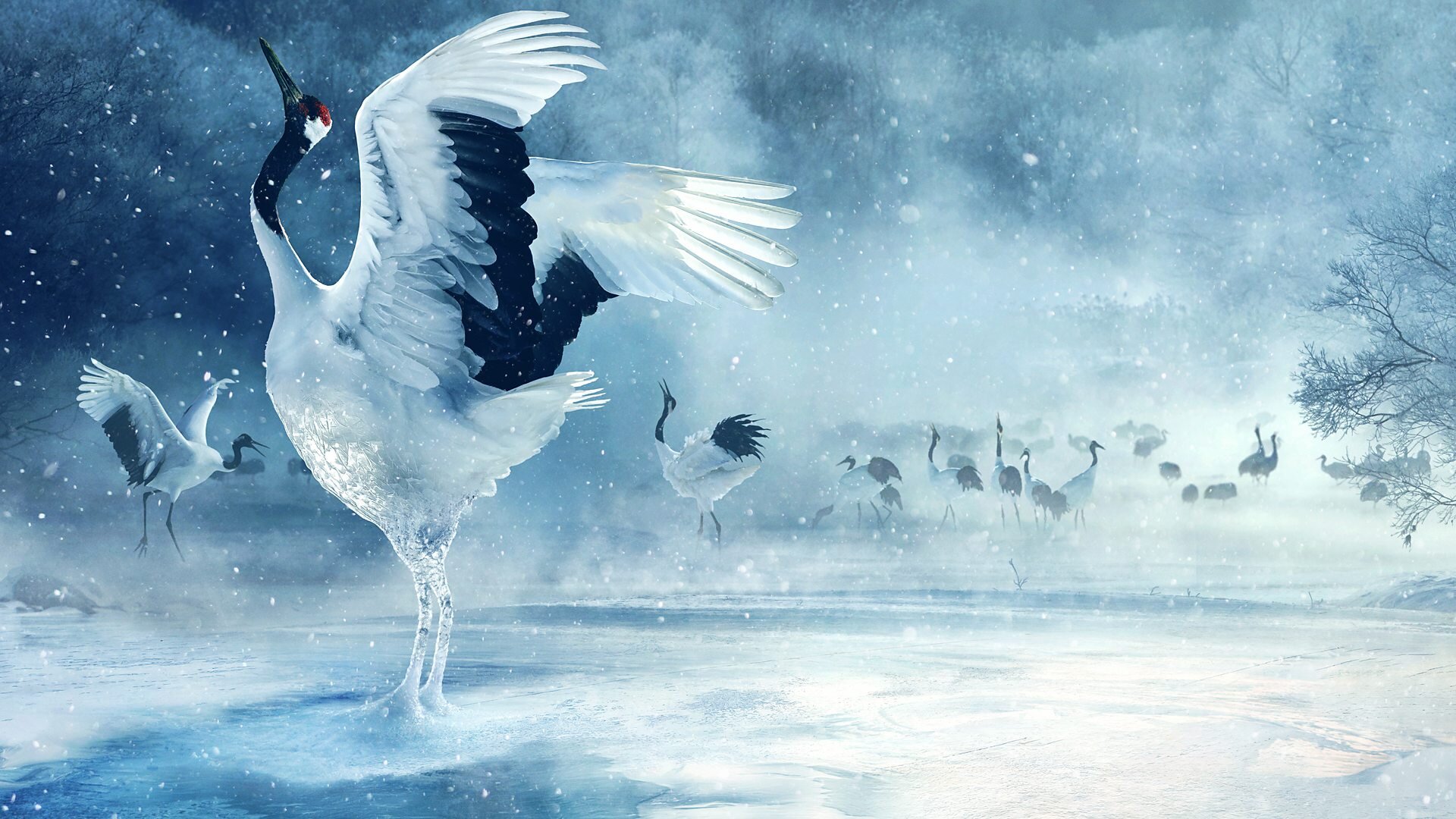 Asia S1E3 The Frozen North