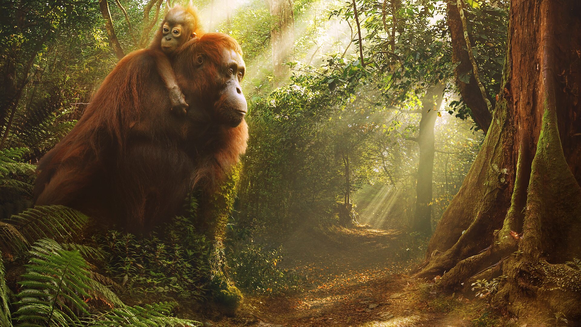 Asia S1E4 Tangled Worlds