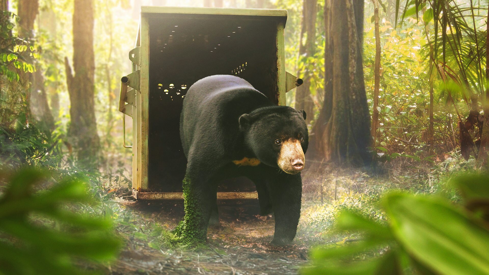 Asia S1E7 Saving Asia