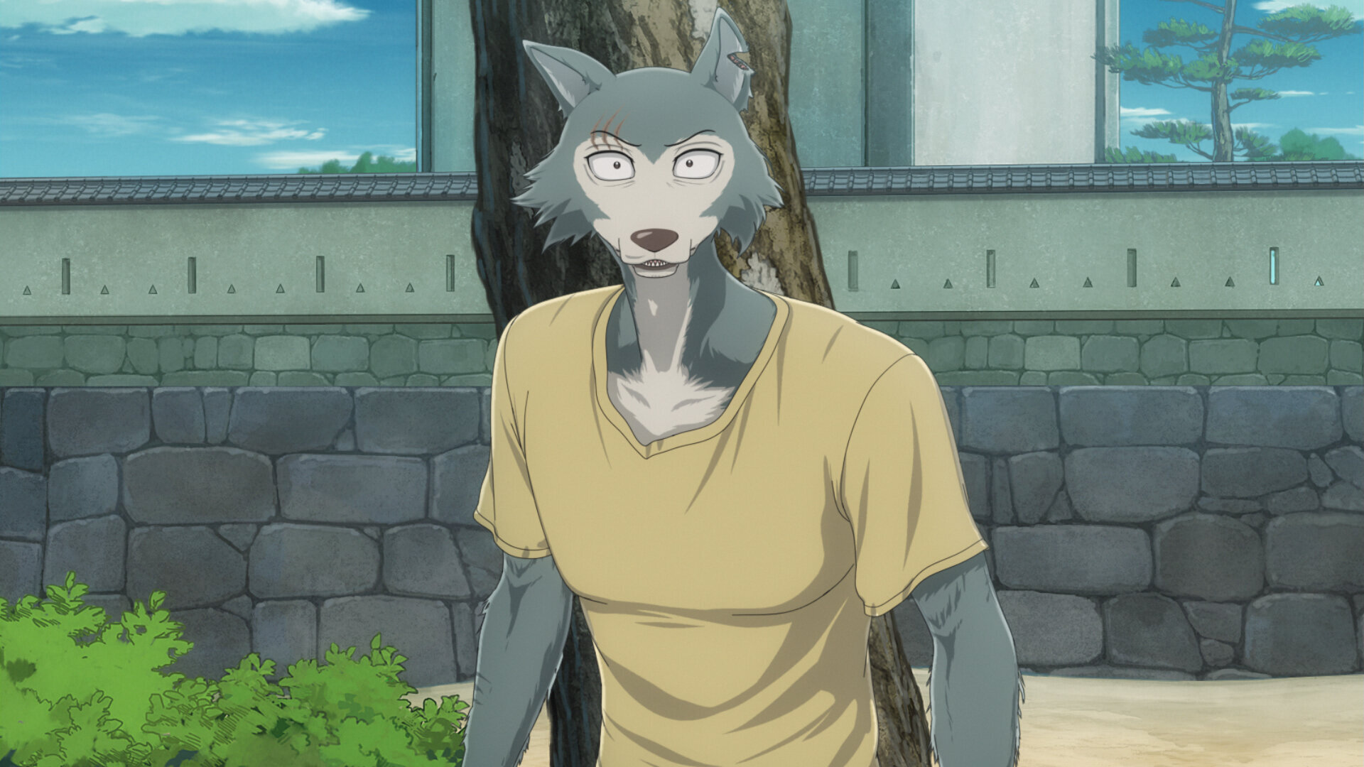 Beastars S3E16 The Red In Our Lives