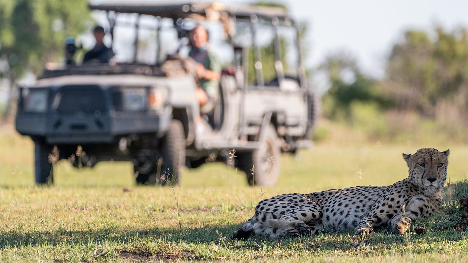 Big Cats 24/7 S1E4 Episode 4