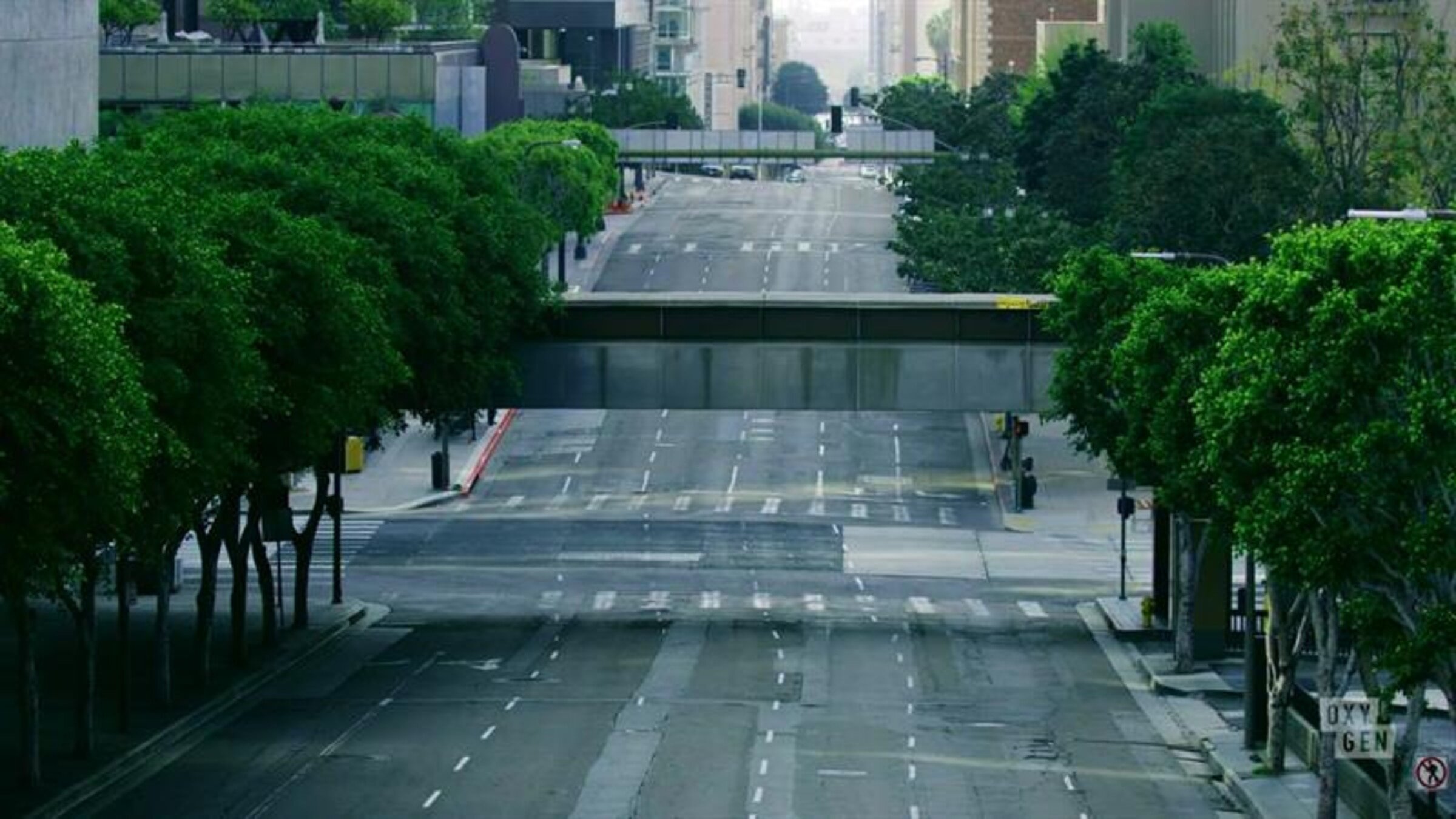 Buried in the Backyard S6E3 City Of Silence