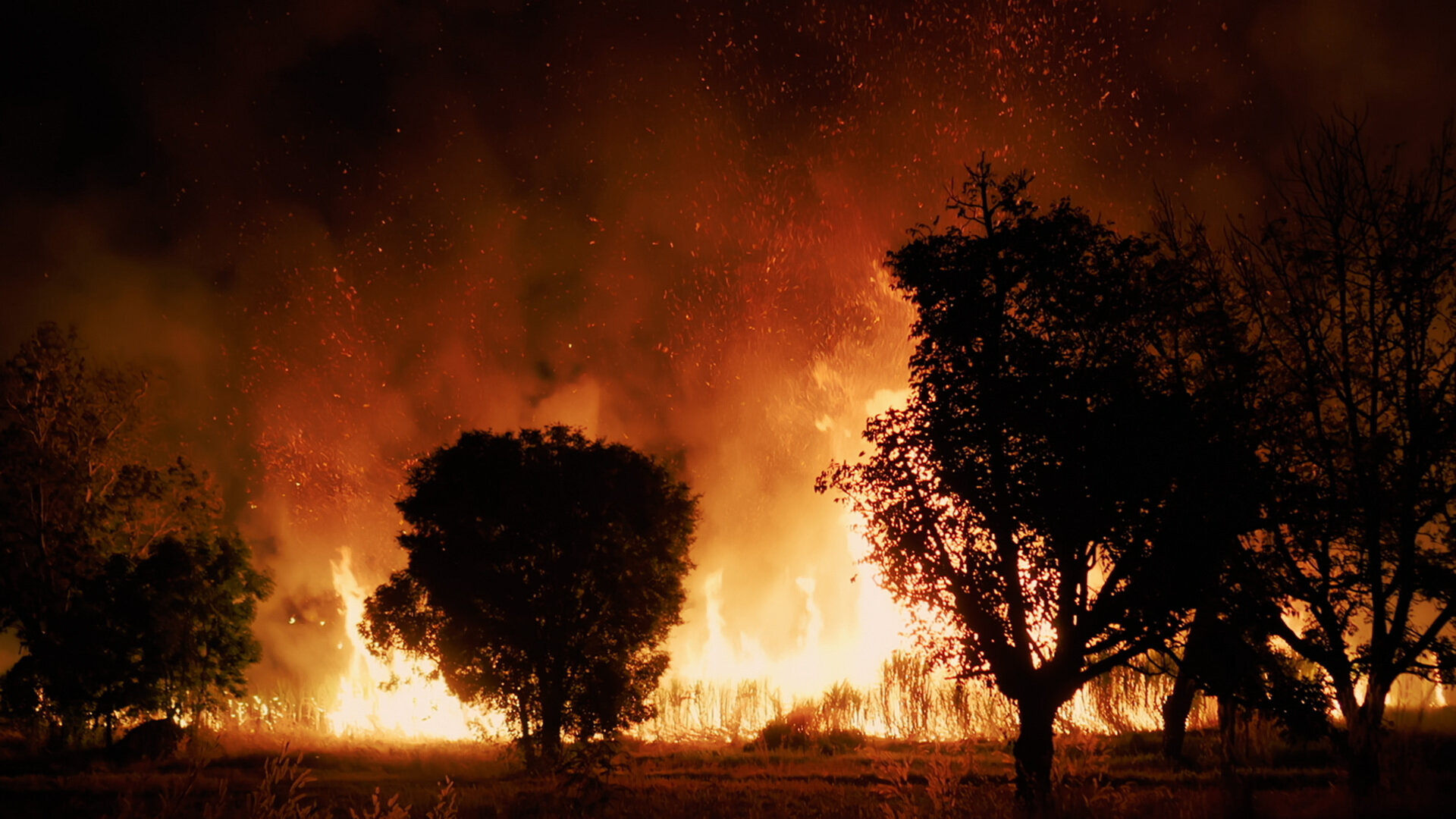 Chopper Cops S2E2 Torcher