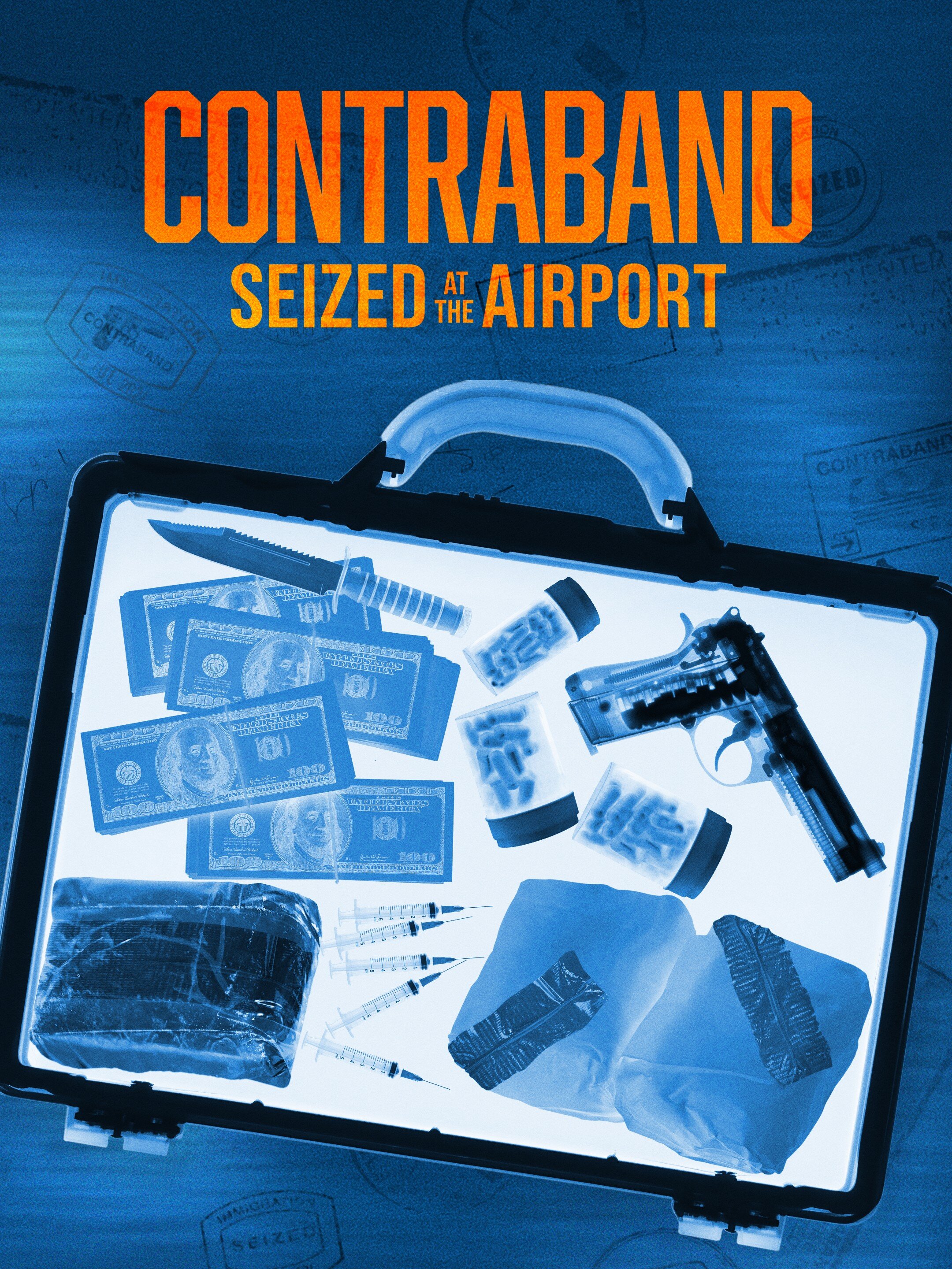 Contraband: Seized at the Airport