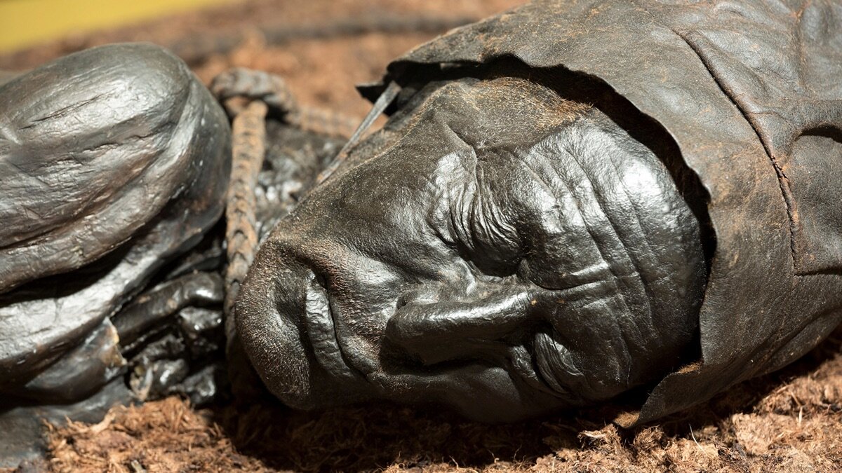 Discovered by Disaster S1E2 Cataclysms and Secrets