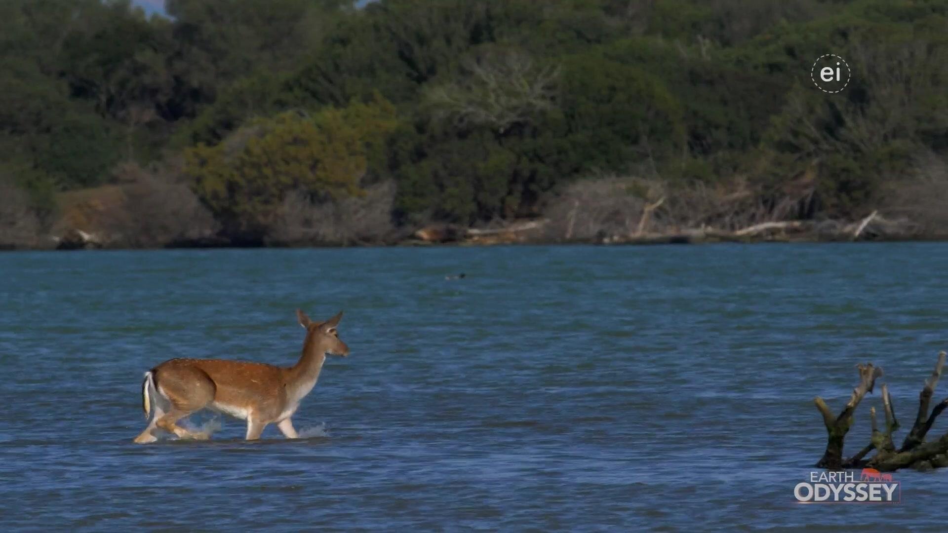Earth Odyssey with Dylan Dreyer S7E15 Wonders of Italy