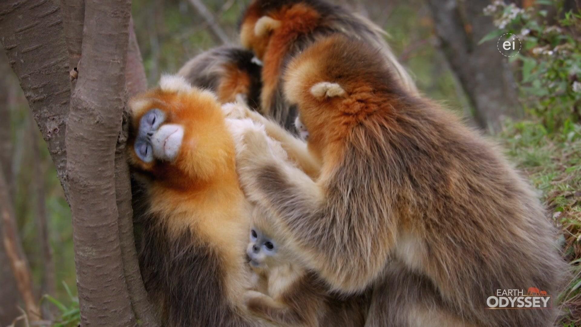 Earth Odyssey with Dylan Dreyer S7E20 Love is a Battlefield