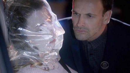 Elementary S5E22 Moving Targets