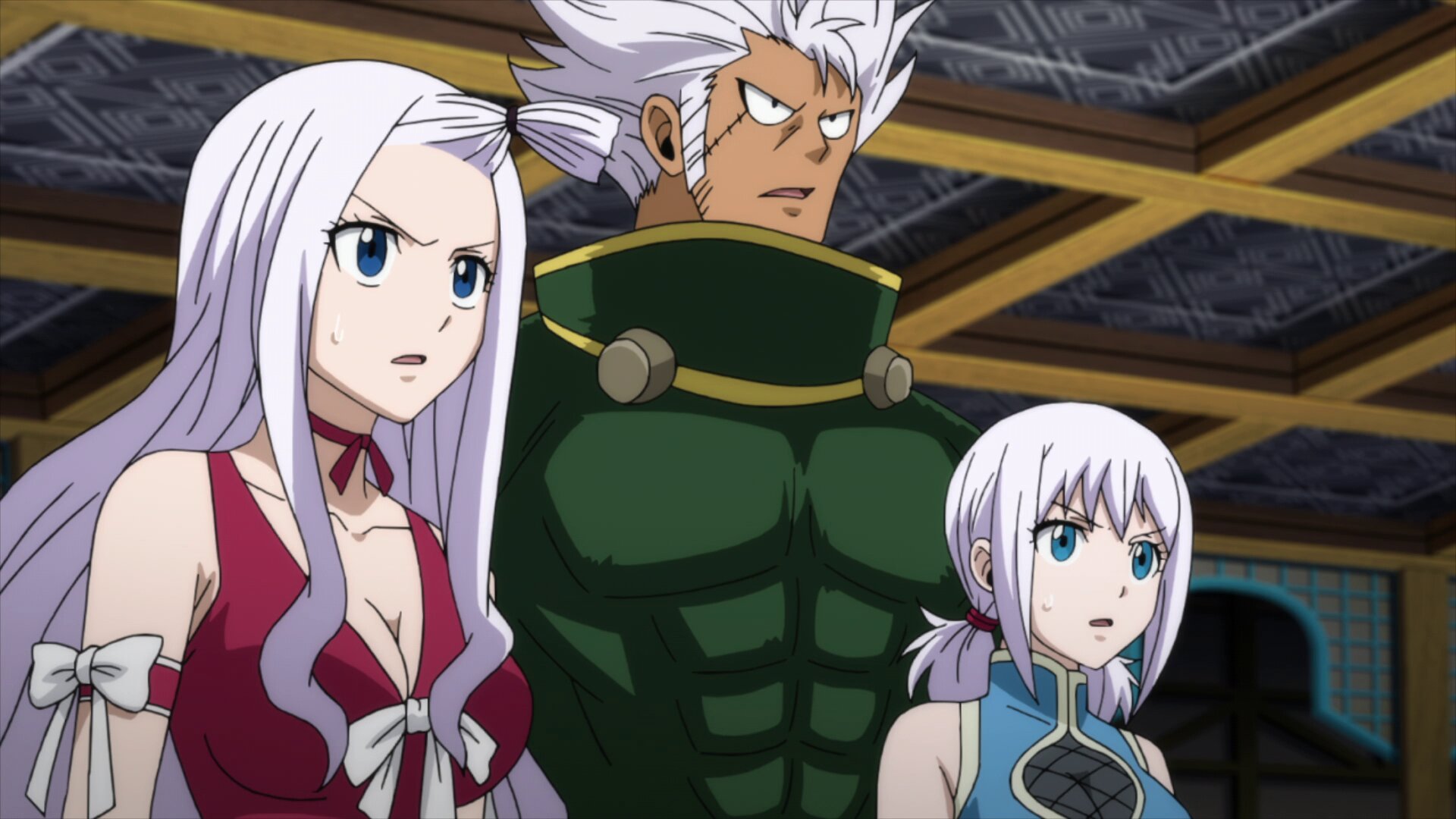 Fairy Tail S8E13 Fairy Heart