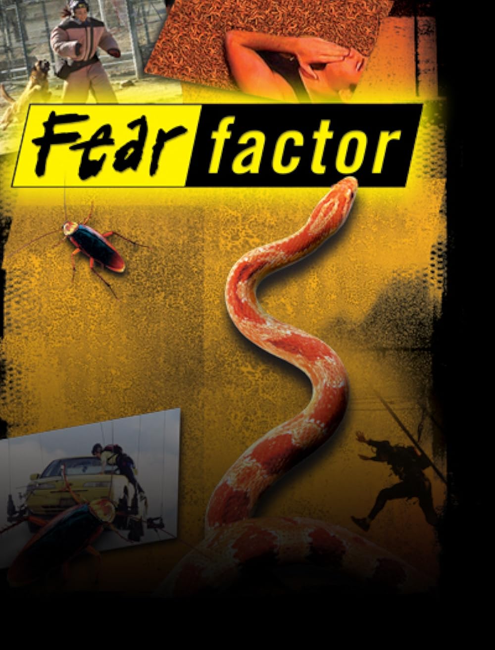 fear factor eating fish eyeballs
