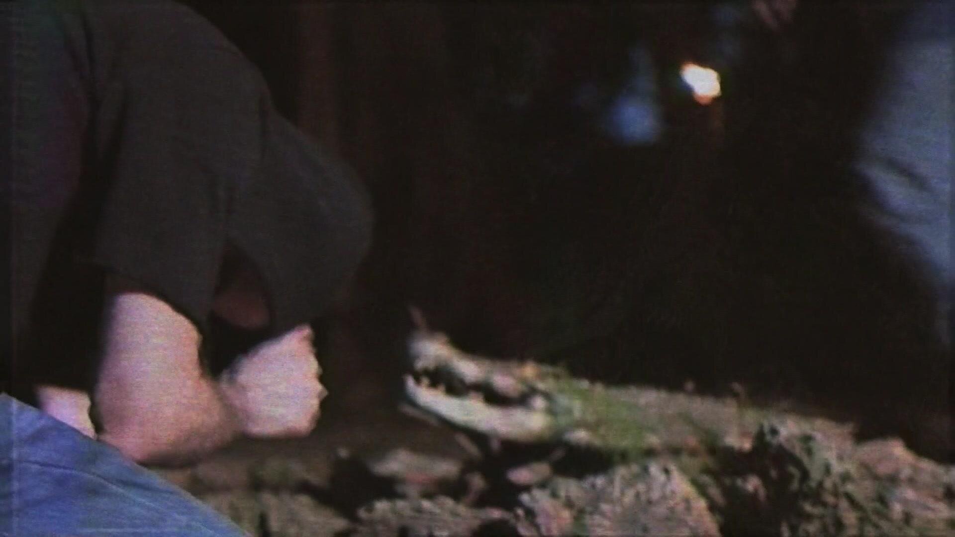 Florida Man Murders S1E5 Alligator God