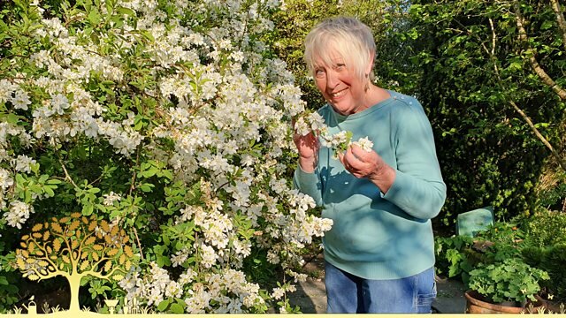 Gardeners' World S58E10 Episode 10