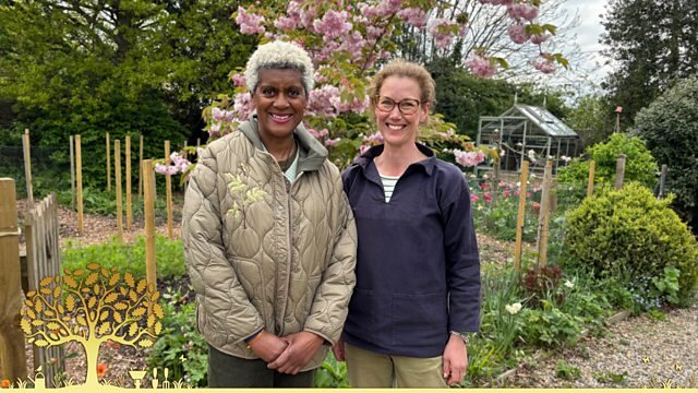 Gardeners' World S58E11 Episode 11