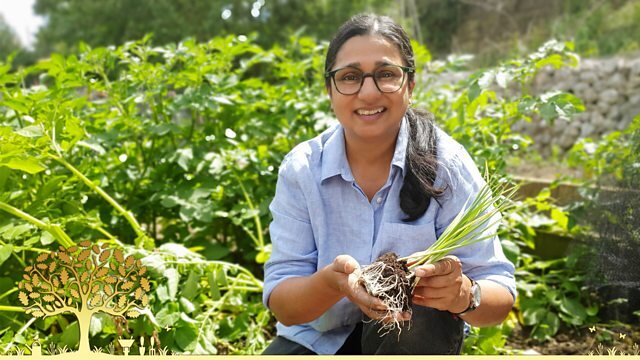 Gardeners' World S58E20 Episode 20