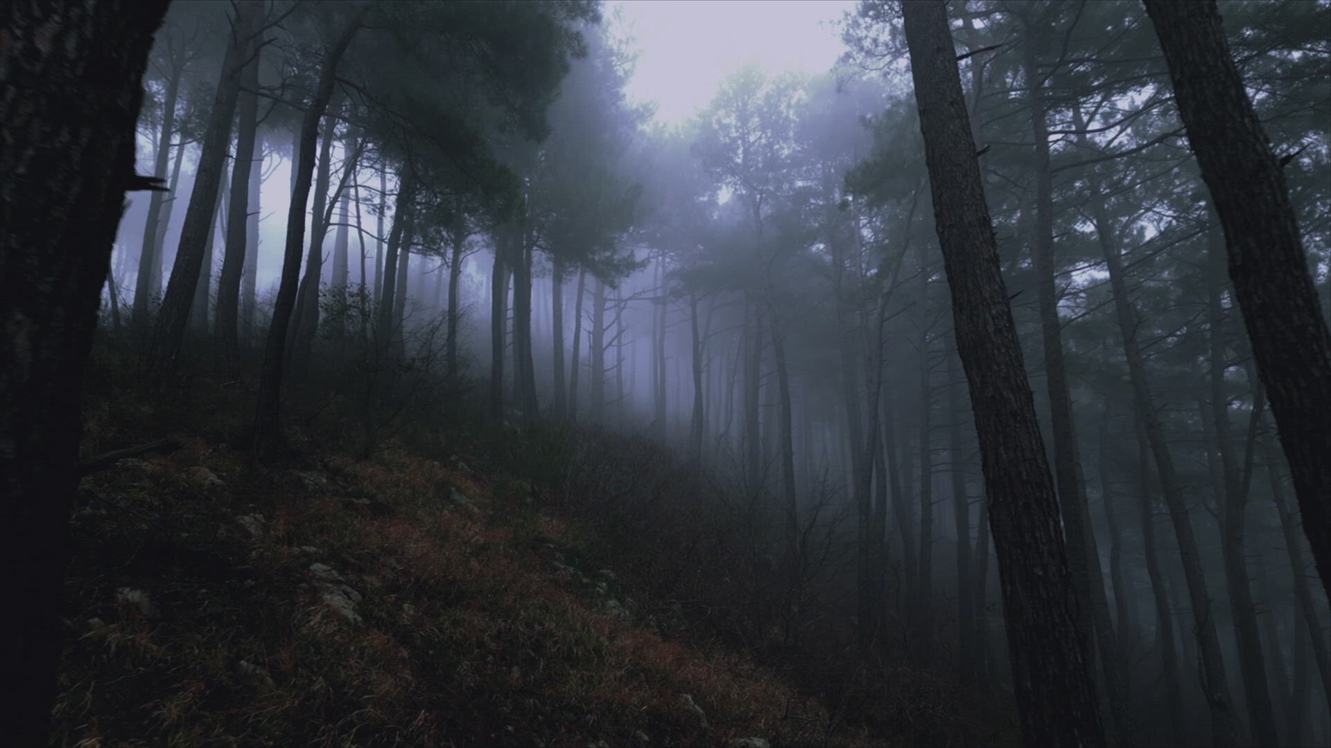 History's Greatest Mysteries S6E8 The Rendlesham Forest Incident