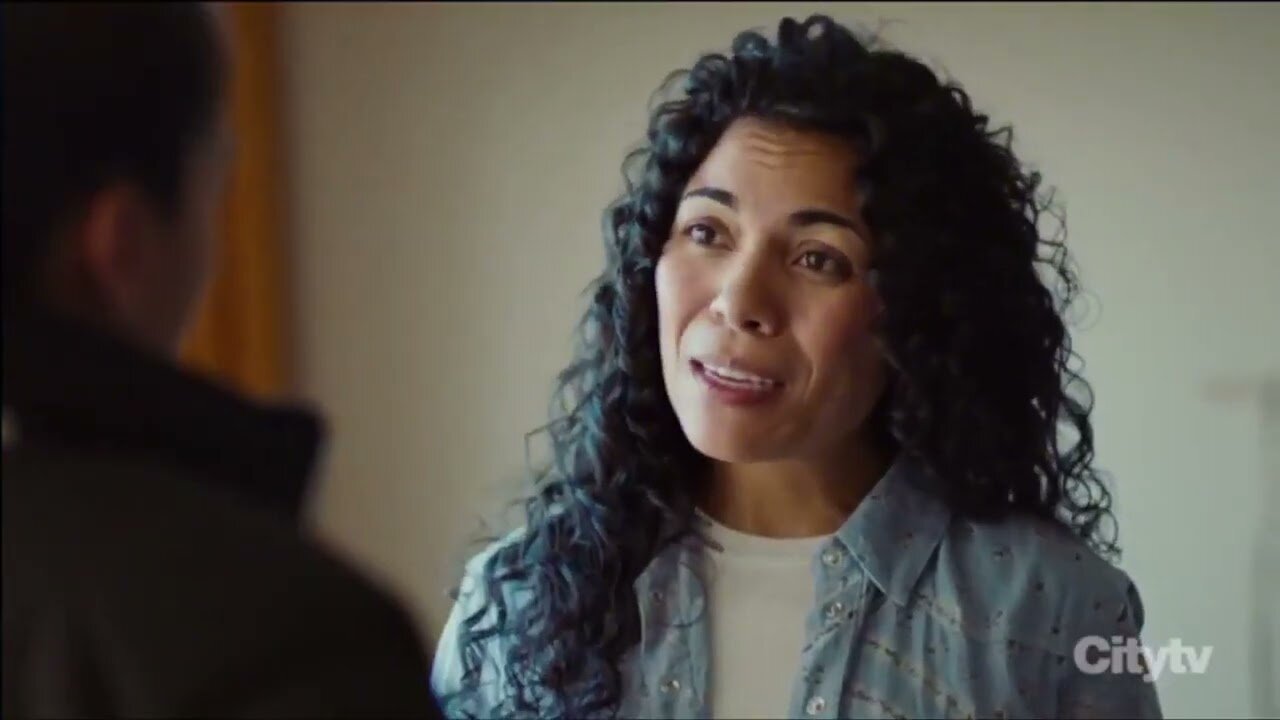 Hudson & Rex S7E8 Hot Prowl in the City