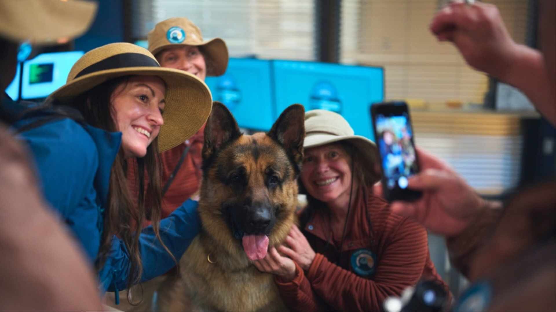 Hudson & Rex S8E11 Trial by Fire