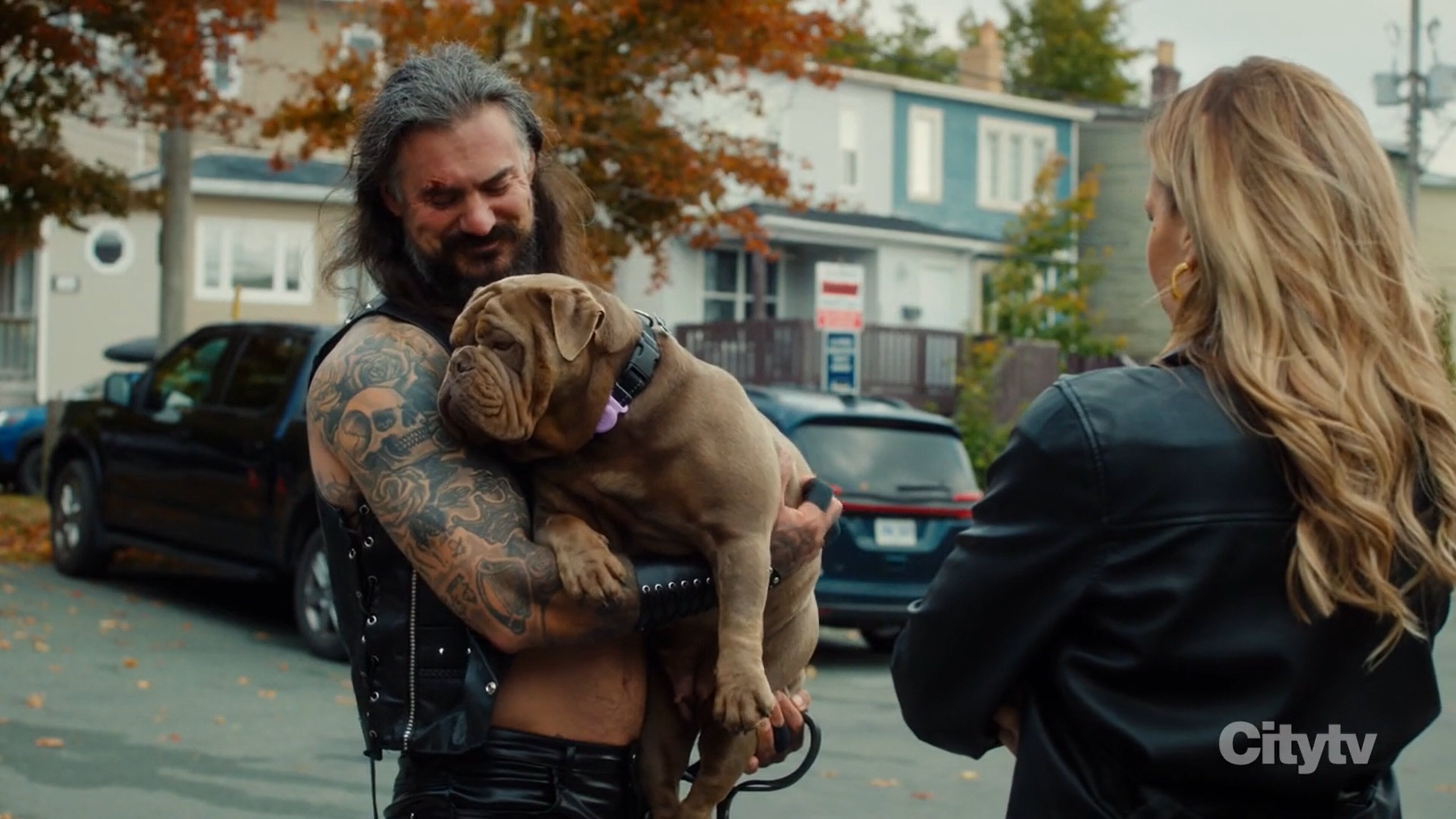 Hudson & Rex S8E9 All the Wrong Moves