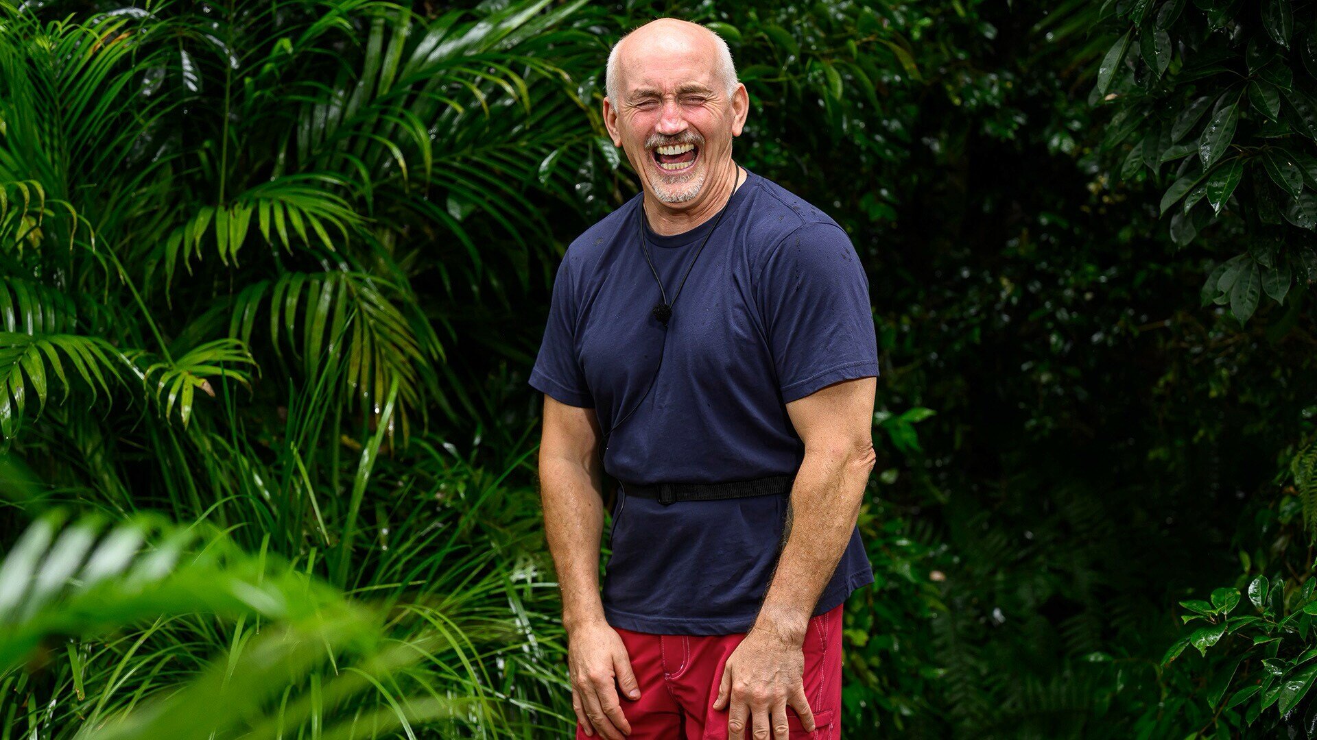 I'm a Celebrity, Get Me Out of Here! S24E15 Episode 15