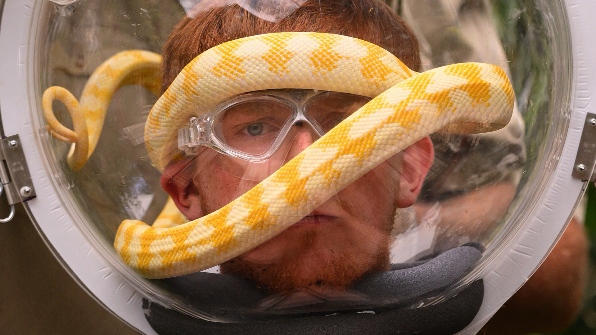 I'm a Celebrity, Get Me Out of Here! S25E22 Final