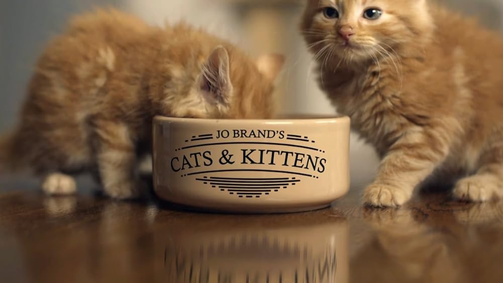 Jo Brand's Cats & Kittens