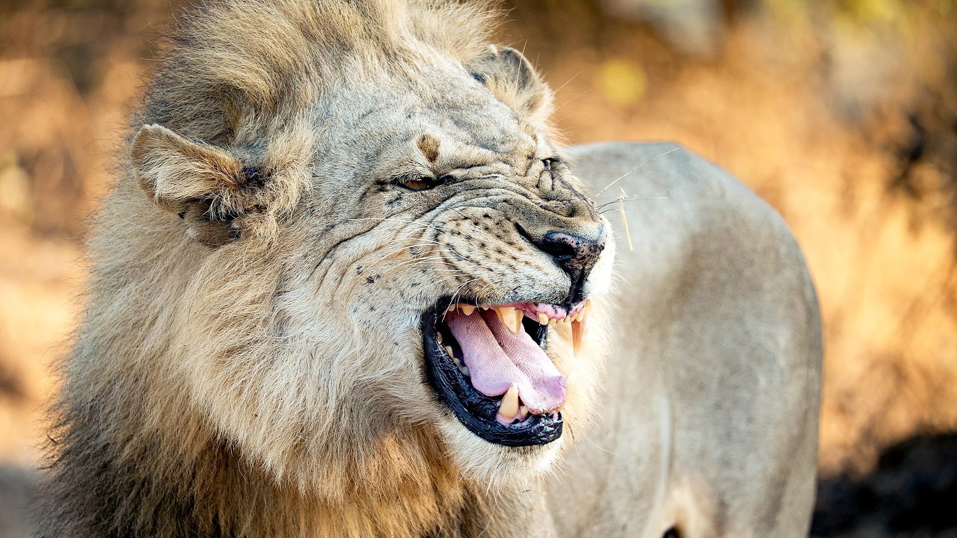 Kingdom S1E4 Episode 4