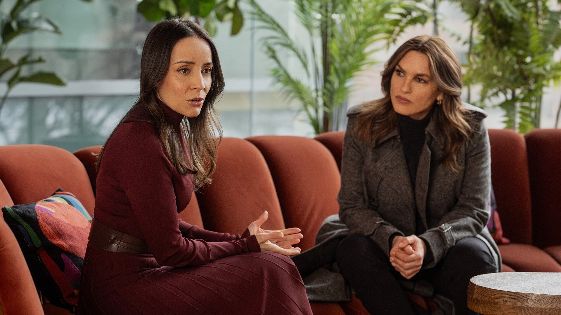 Law and Order: Special Victims Unit S27E16 Vivid