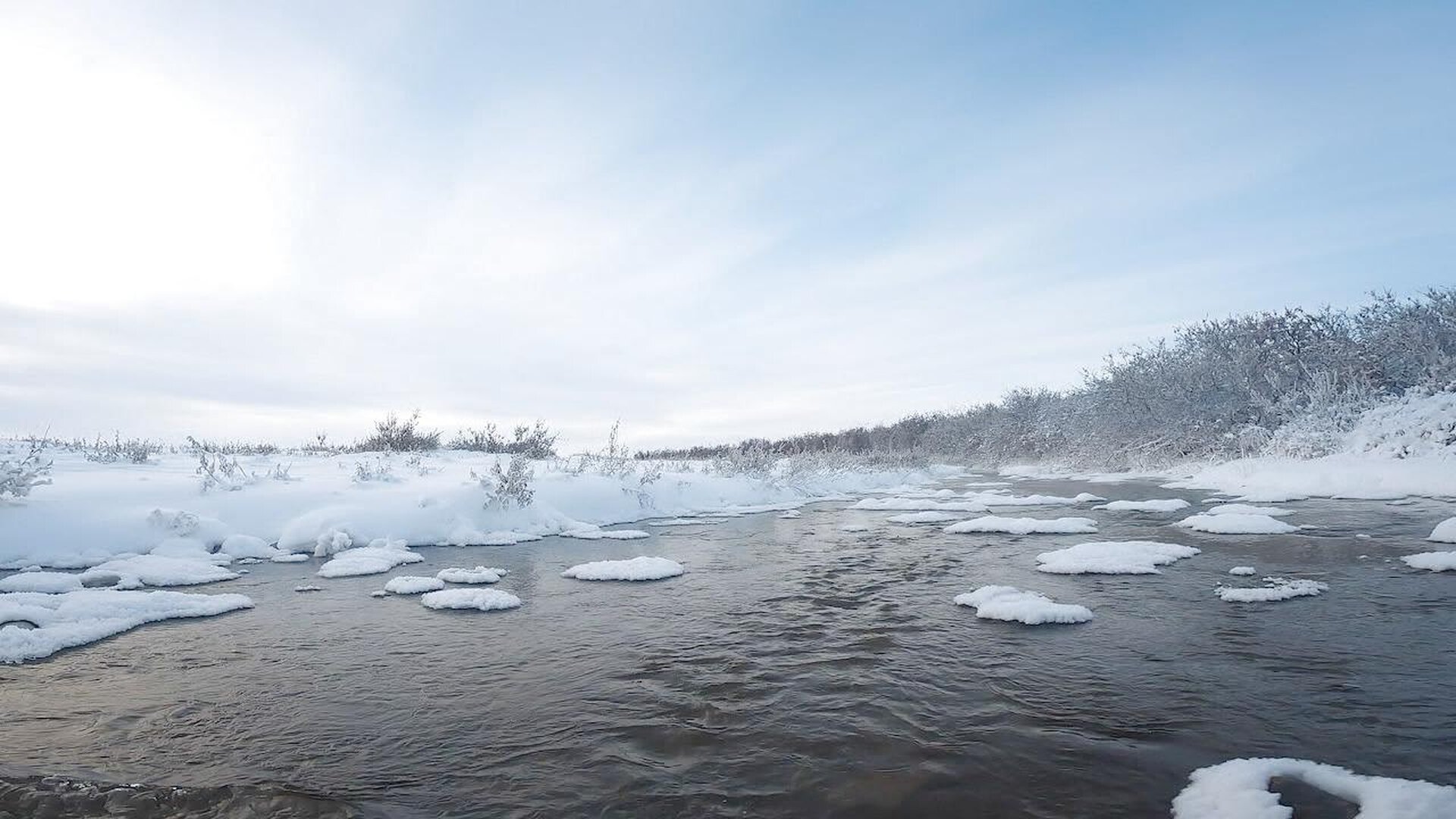 Life Below Zero S23E6 What's Up From Down