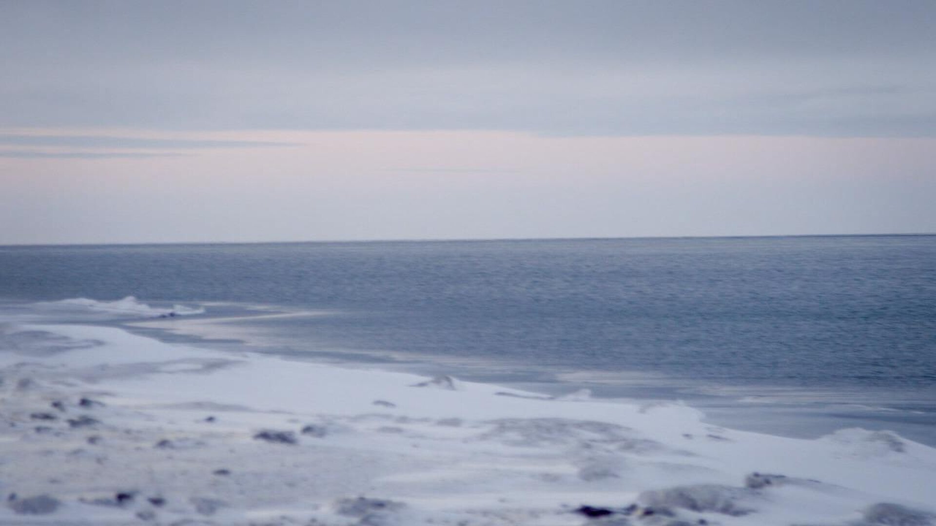 Life Below Zero S23E8 Night Country