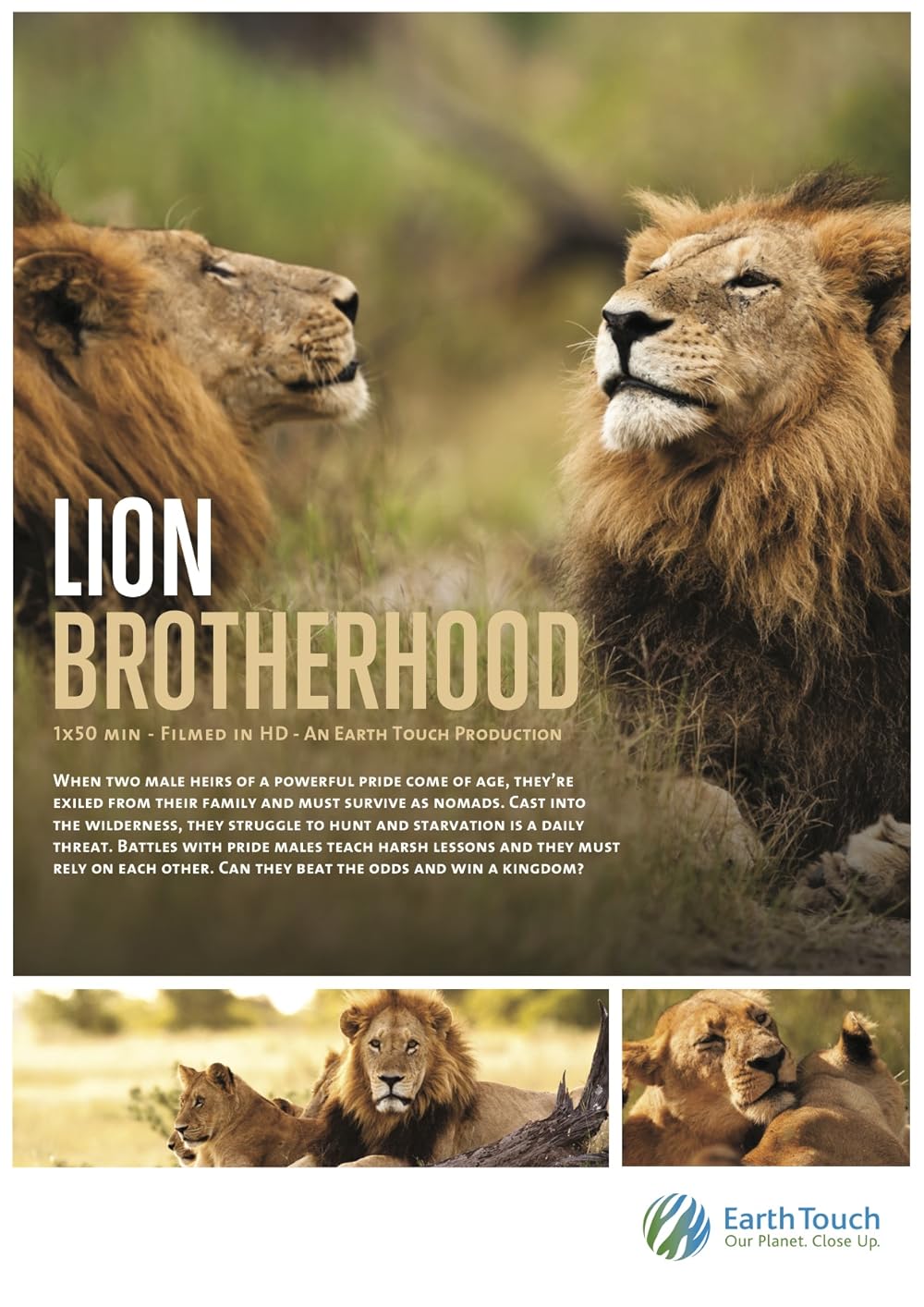 Lion Brotherhood