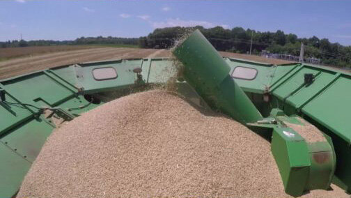 Moonshiners S10E6 Single Malt Moonshine