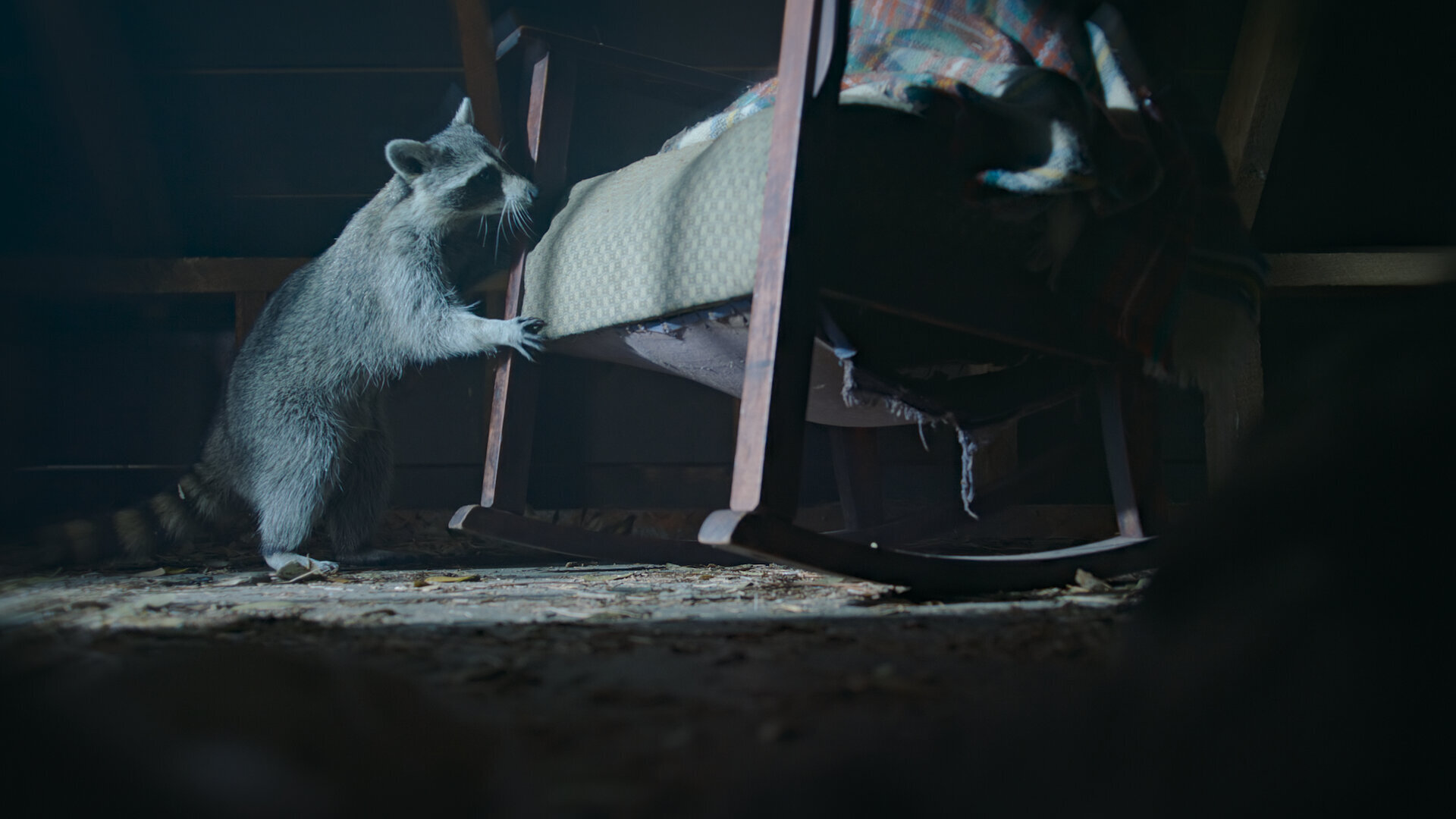 Nightmares of Nature S1E2 Chapter Two: The Cabin