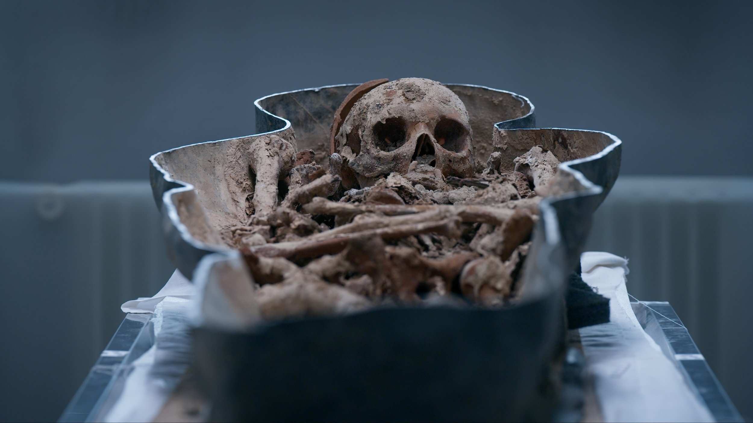 Nova S52E10 Ultimate Crash Test: Countdown