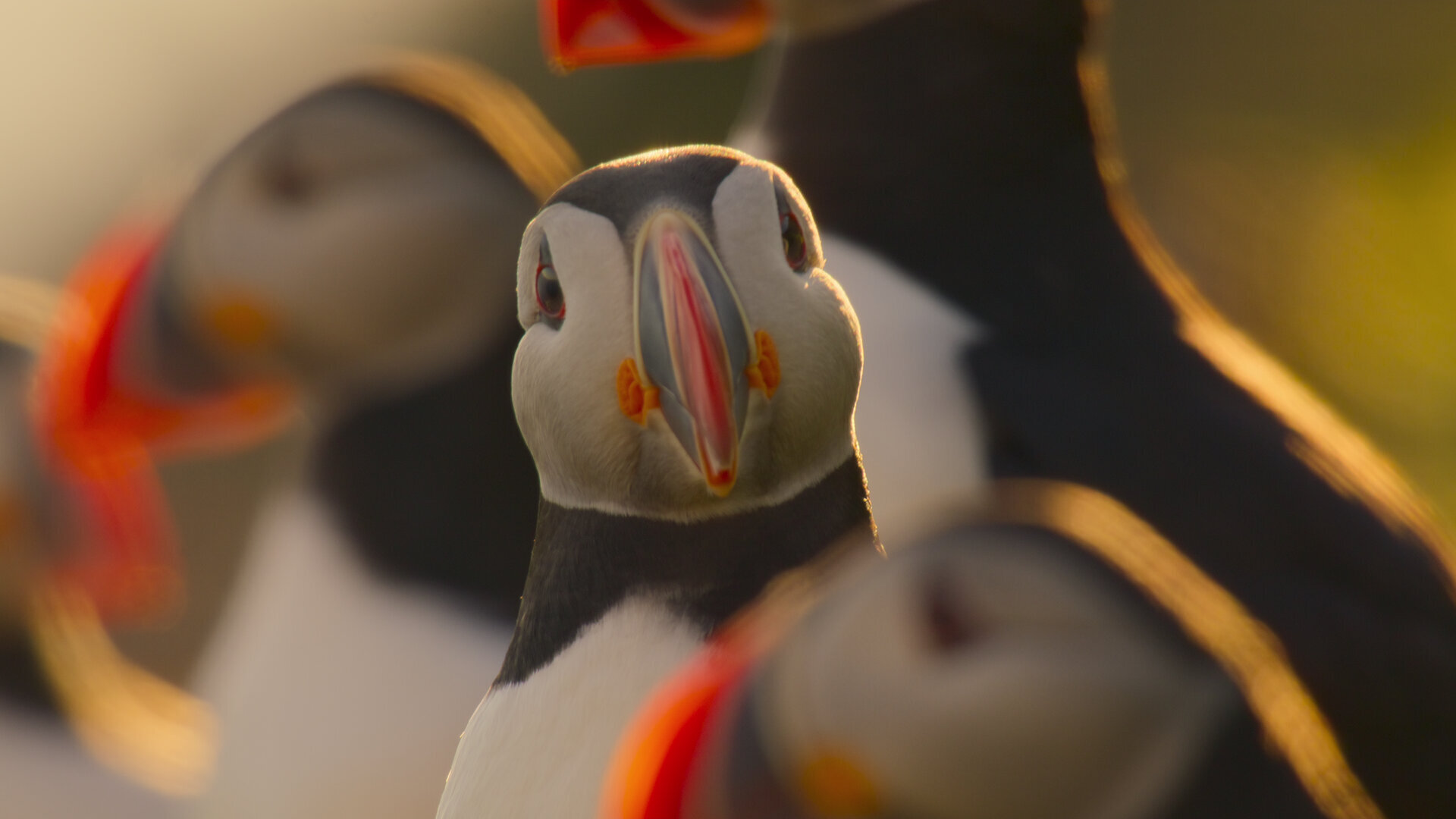 Our Oceans S1E3 Atlantic Ocean