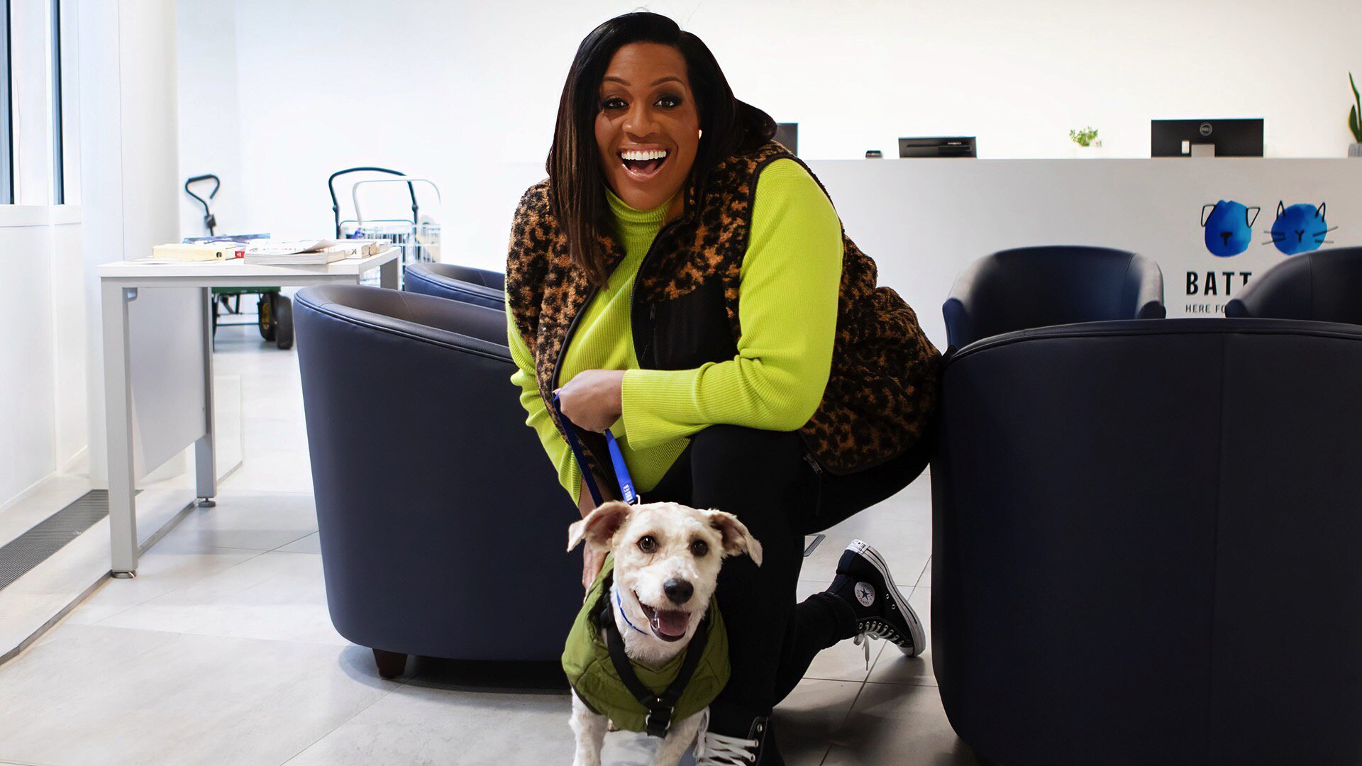 Paul O'Grady: For the Love of Dogs S13E2 Episode 2