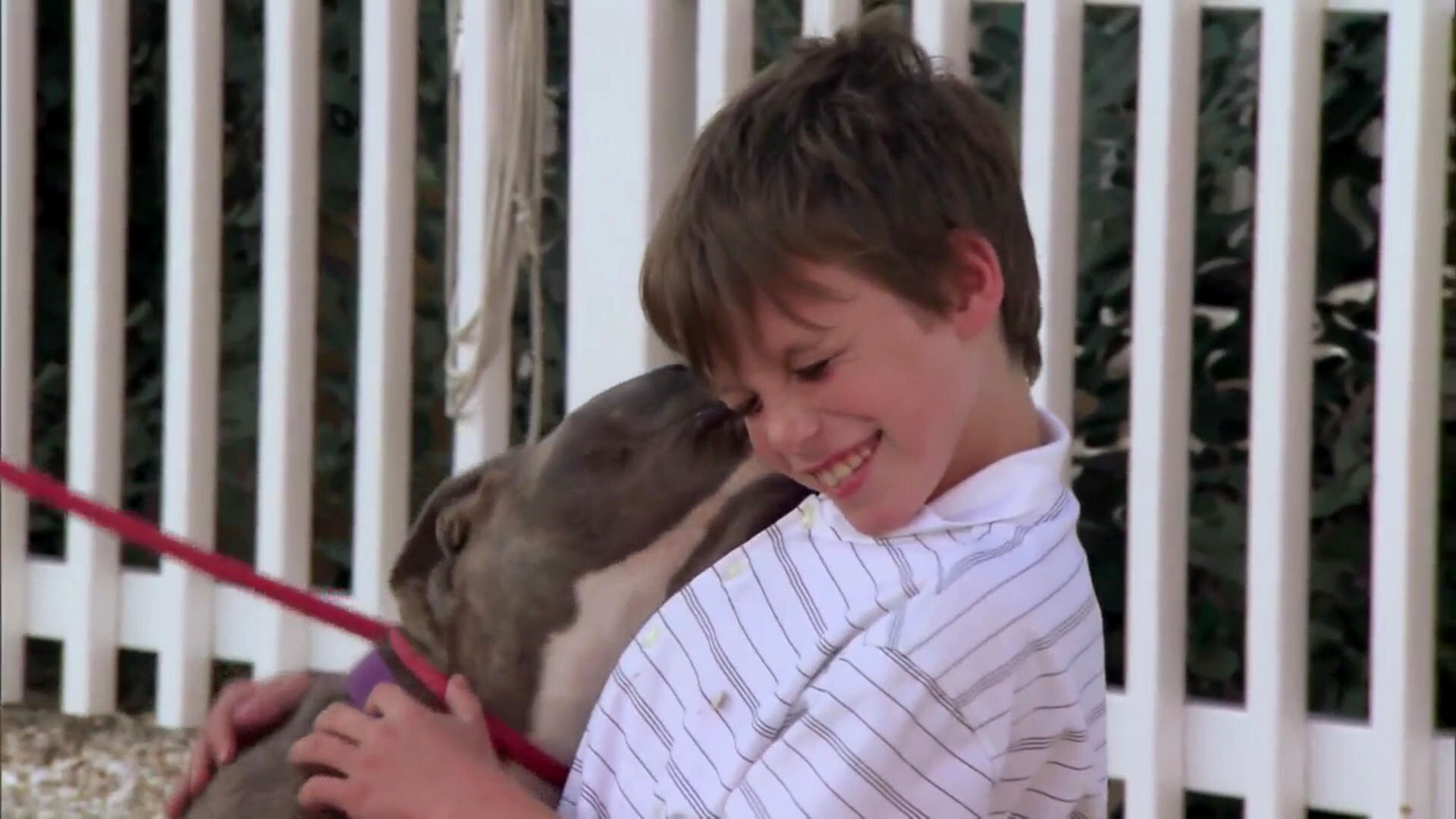 Pit Bulls and Parolees S7E5 Taming the Beast