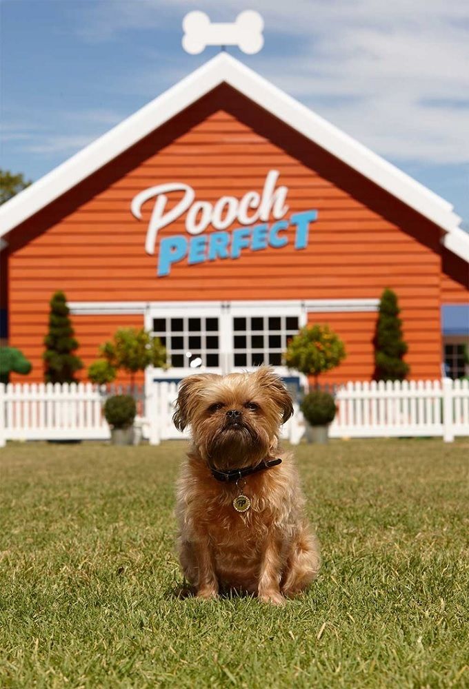Pooch Perfect Torrent Download EZTV