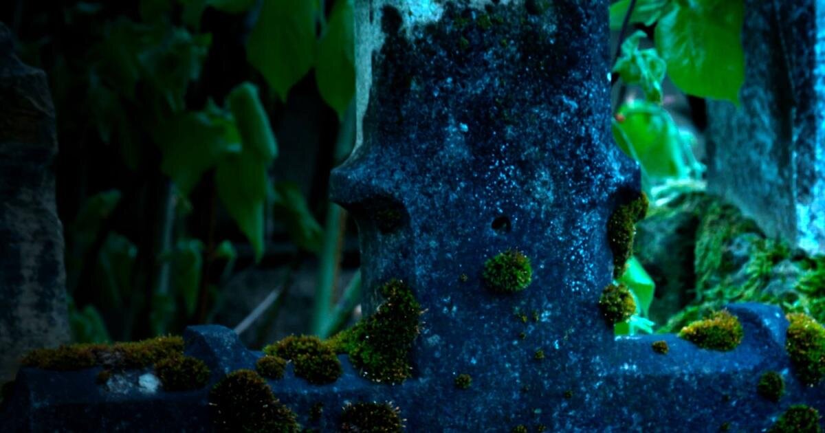 Secrets of the Dead S22E10 Field of Vampires