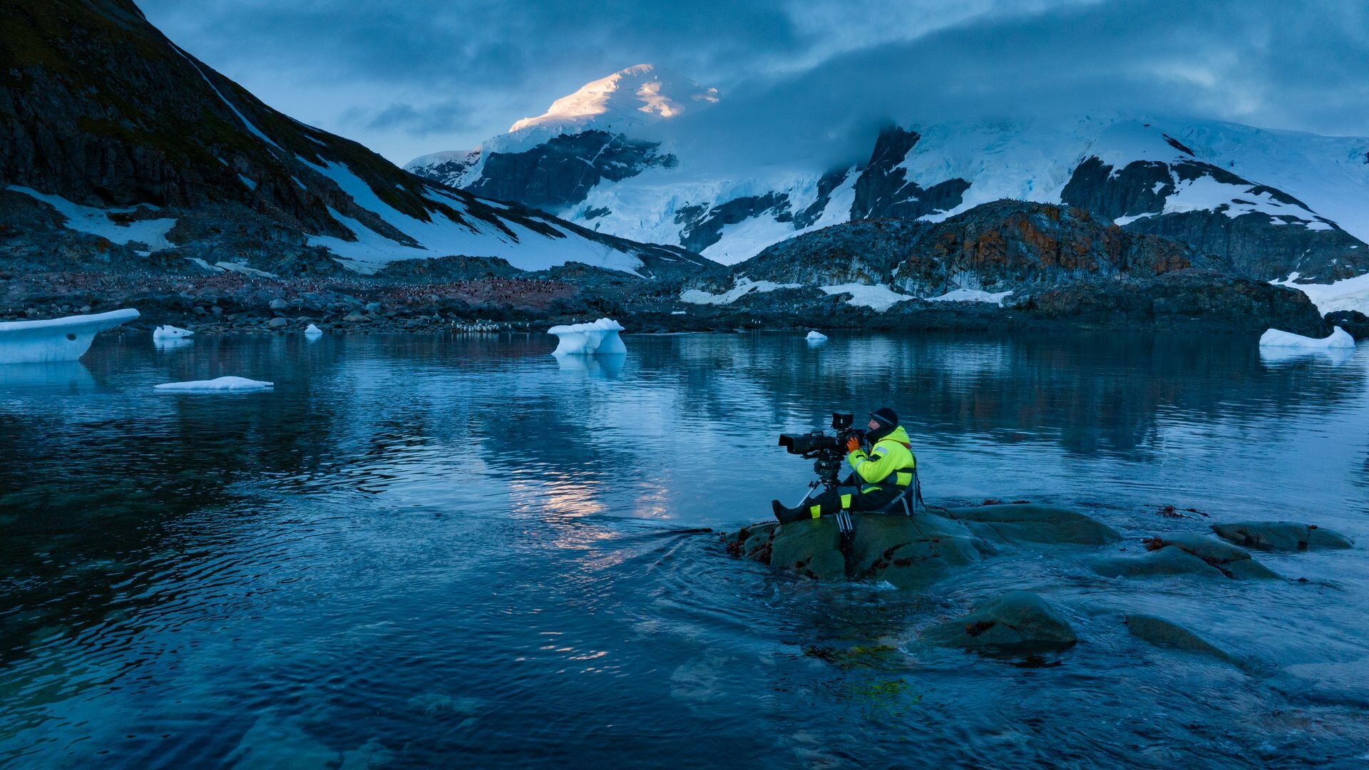 Secrets of the Penguins S1E3 Rebels with a Cause