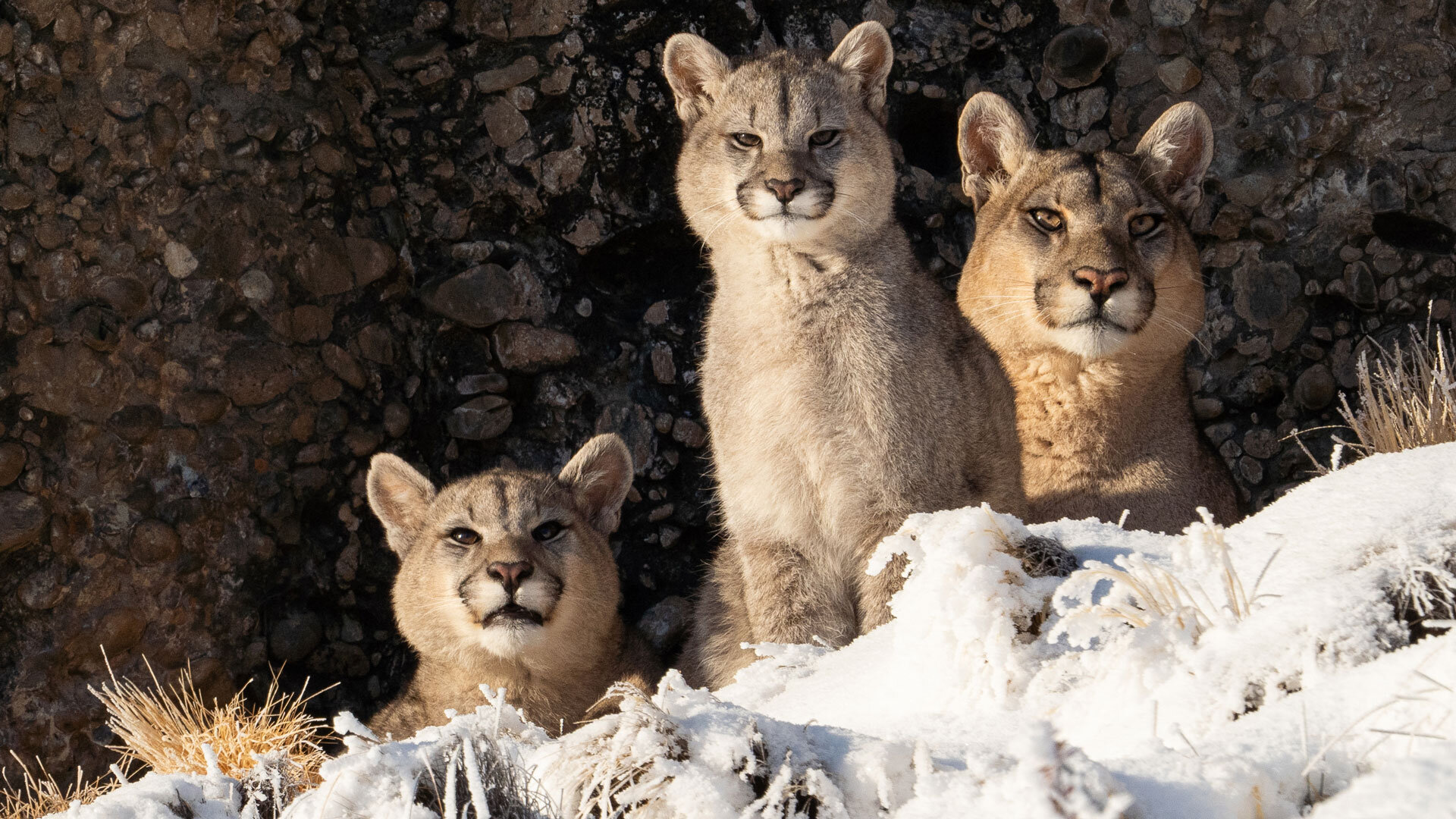 The Americas S1E10 Patagonia