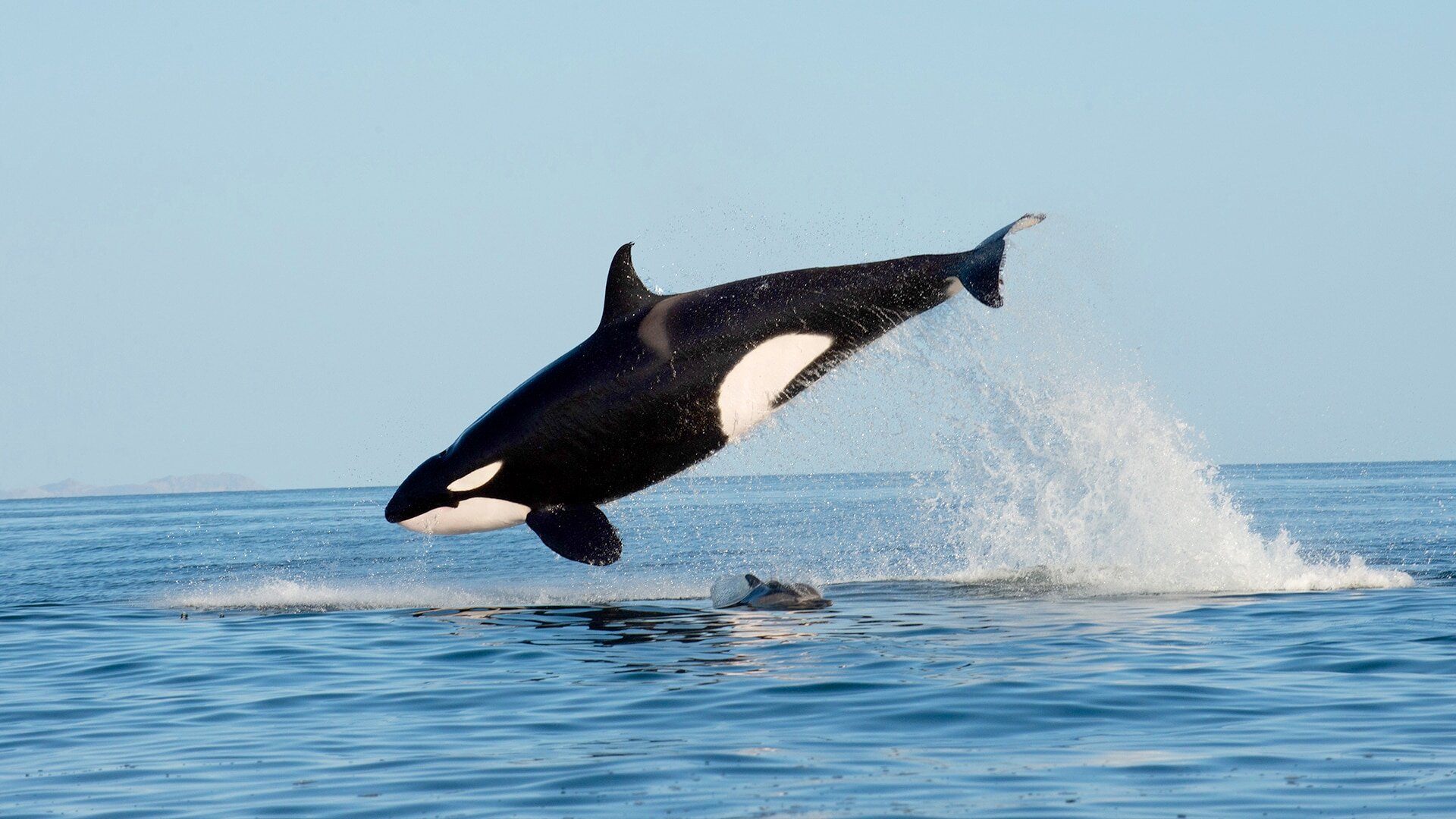 The Americas S1E2 Mexico