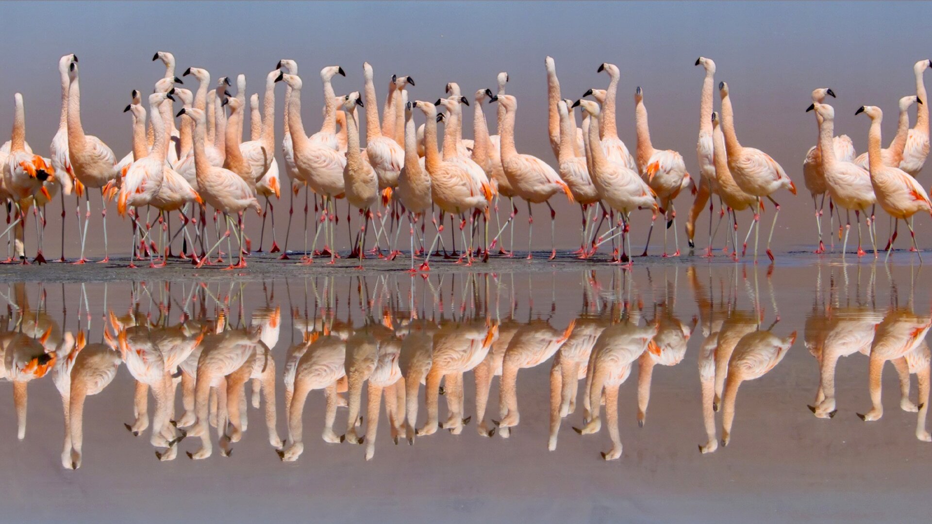 The Americas S1E7 Andes