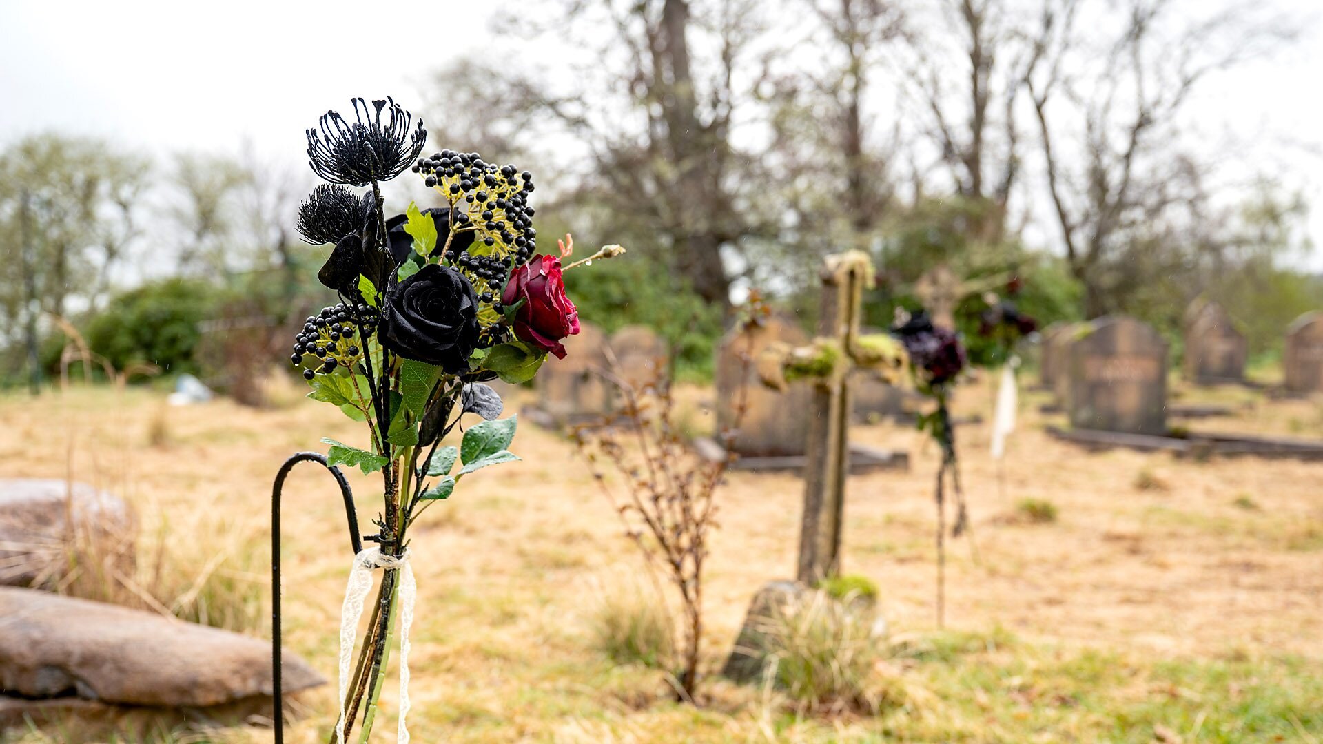 The Celebrity Traitors S1E2 Episode 2