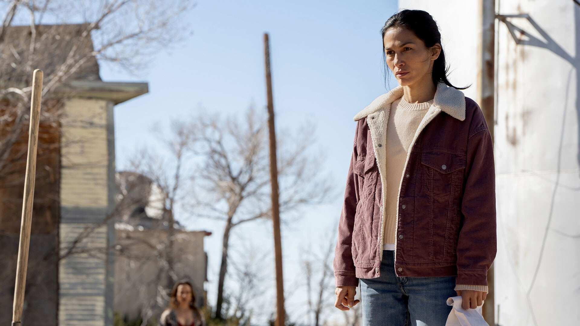 The Cleaning Lady S4E12 As Time Goes By