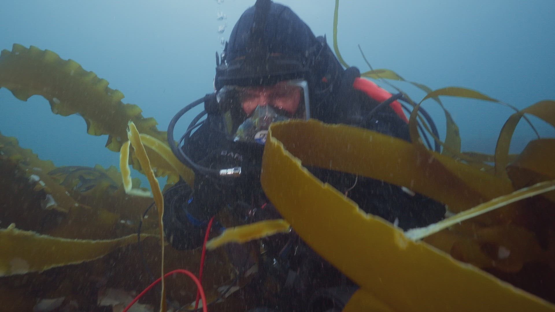 The Death Coast S1E3 Graveyard of Scatarie