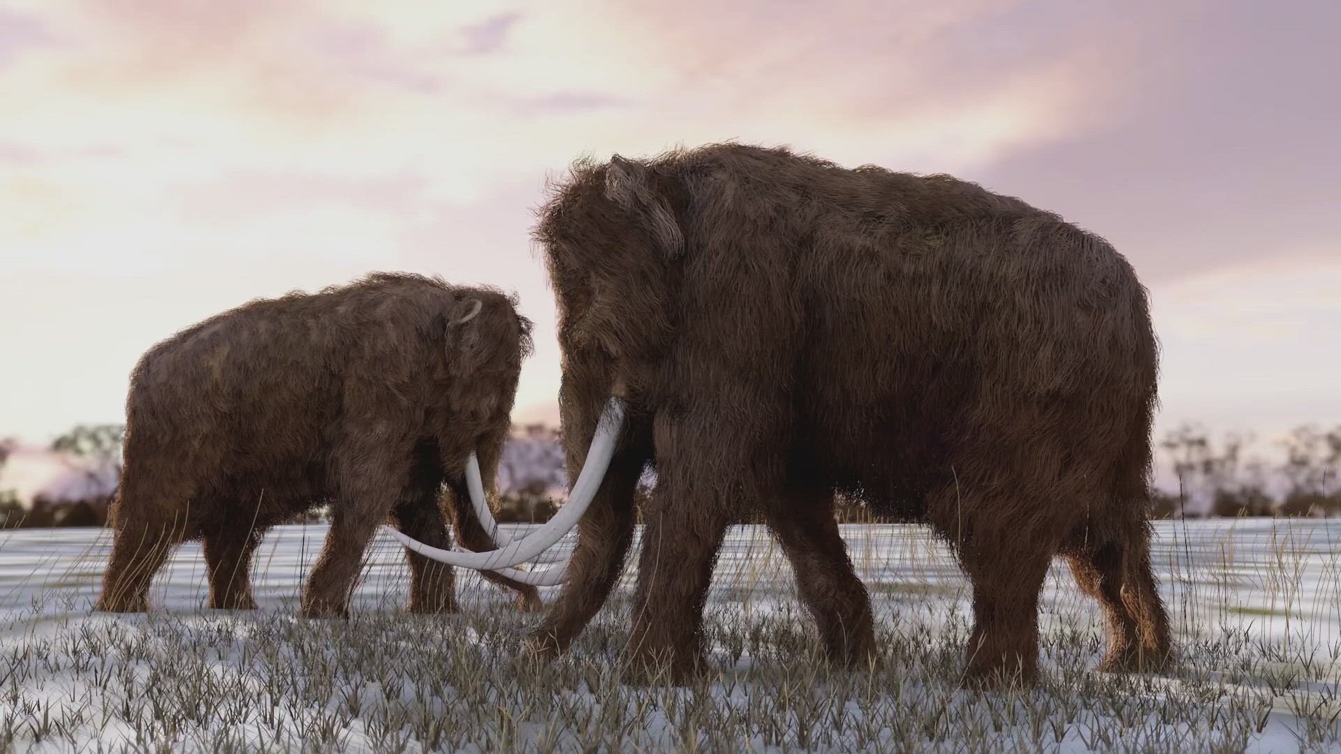 The Proof is Out There S4E14 Wooly Mammoth Sighting, Ohio Bigfoot Howl and Killer Robot